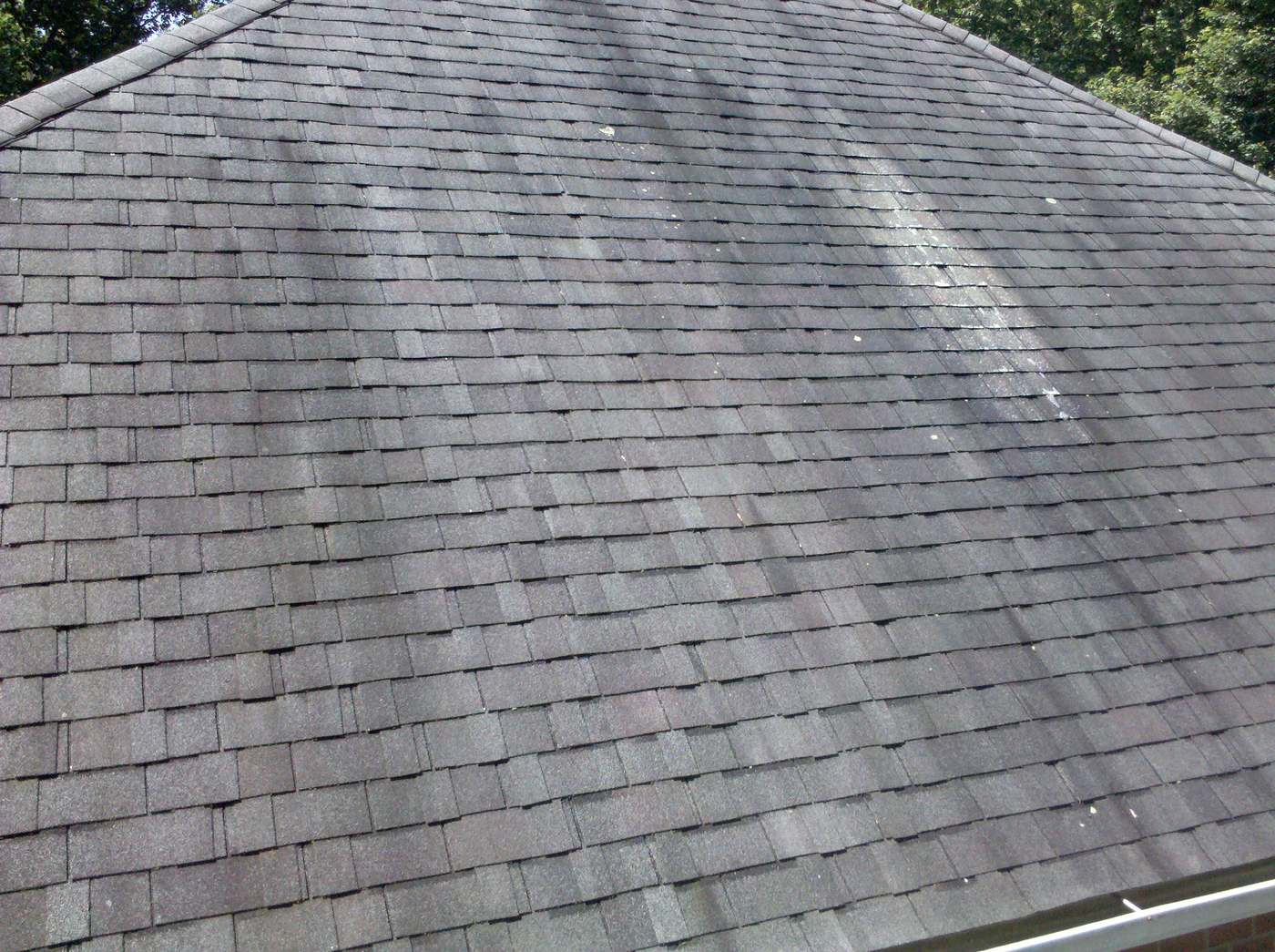Dark vertical algae streaks running down gray asphalt shingles on a shaded residential roof