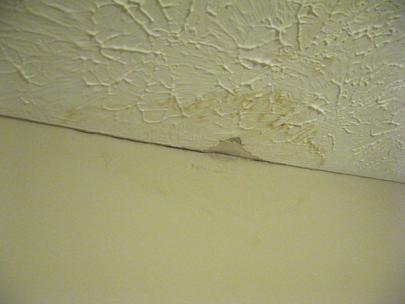 Interior ceiling water stain on textured drywall from a roof leak