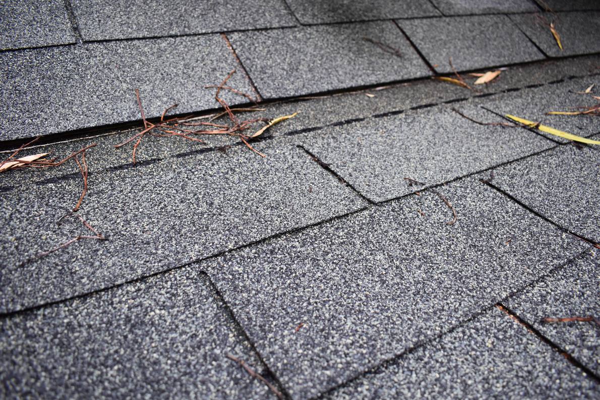 Gray architectural asphalt shingles on a sloped residential roof