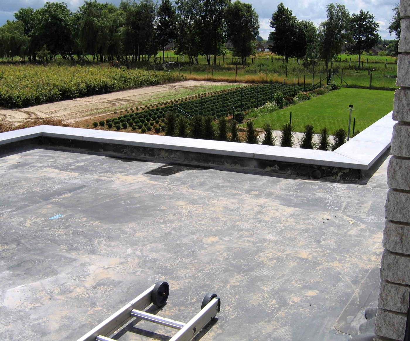 Dark single-ply membrane covering a flat roof with parapet walls and a ladder at the edge